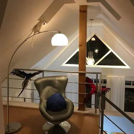 Ferienimspessart Og Apartment