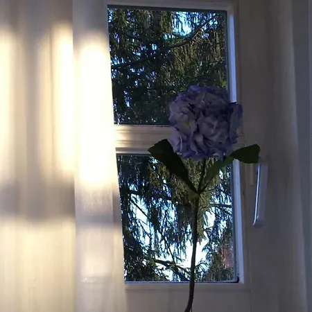 아파트 Ferienimspessart Og 바트소덴살뮨스터